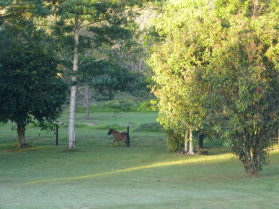 Real Estate in Garradunga