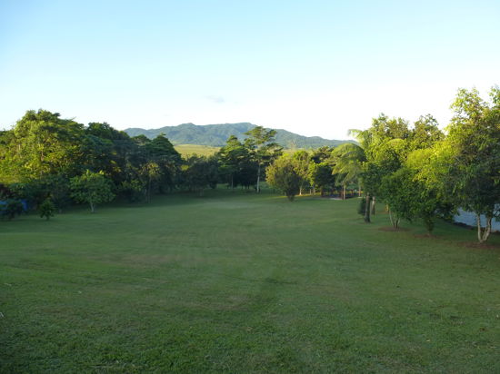 Garradunga real estate For Sale