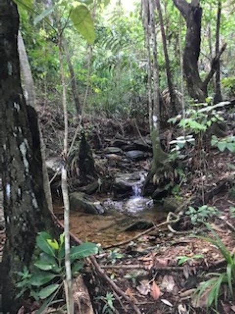 Real Estate in Bramston Beach