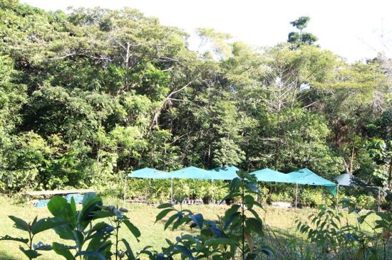 Real Estate in Bramston Beach