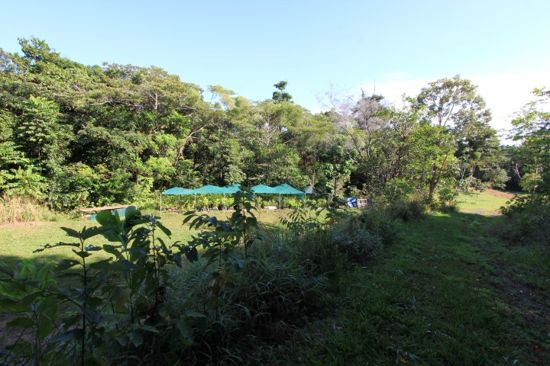 Real Estate in Bramston Beach