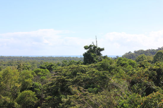 Real Estate in Bramston Beach