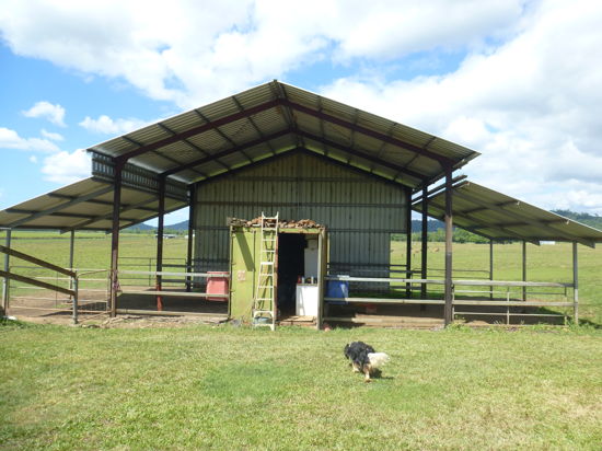 Real Estate in Moresby