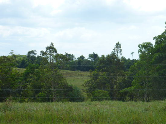 Real Estate in Moresby