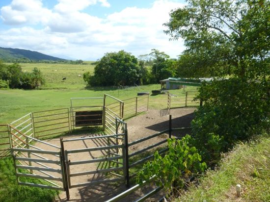 Real Estate in Moresby