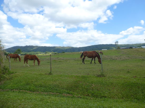 Open for inspection in Moresby