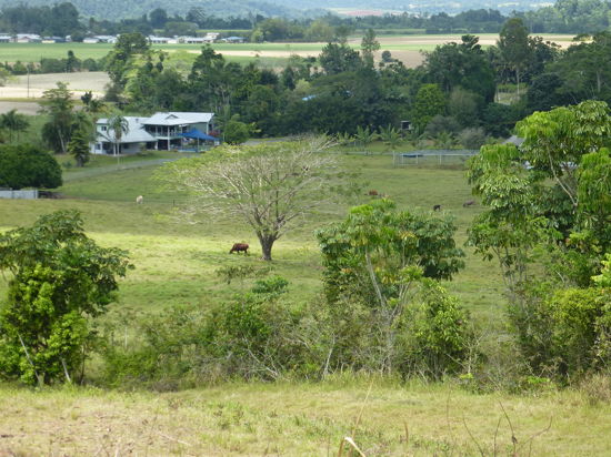 Real Estate in Cairns