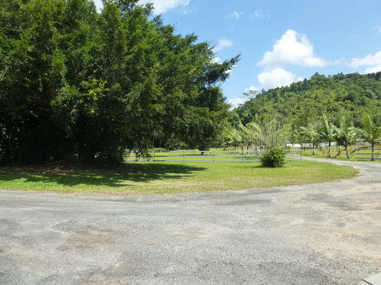 Real Estate in Cairns