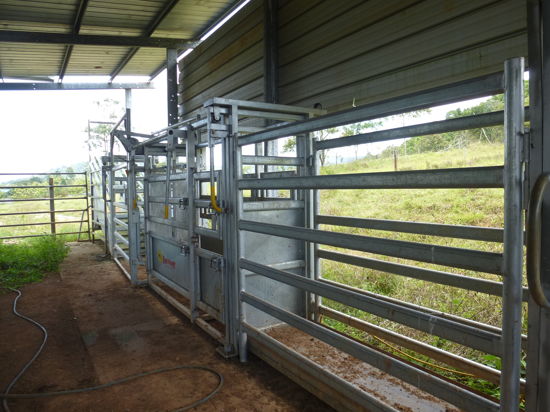 Real Estate in Cairns