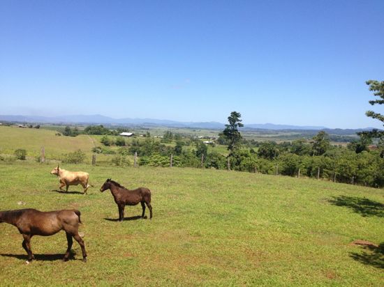 Eubenangee Properties For Sale