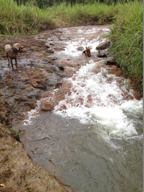 Eubenangee real estate For Sale