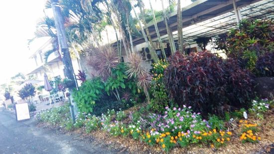 Open for inspection in Babinda