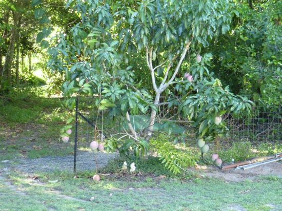 Real Estate in Cowley Beach