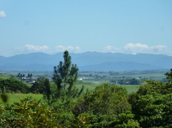 Jubilee Heights real estate For Sale