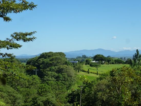 Real Estate in Jubilee Heights