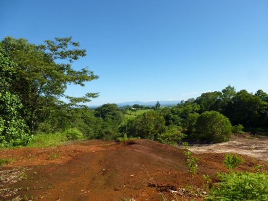 Open for inspection in Jubilee Heights