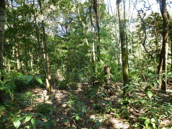 Selling your property in Jubilee Heights