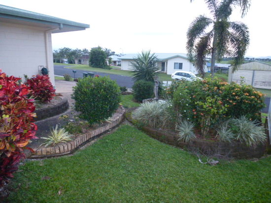 Real Estate in Belvedere