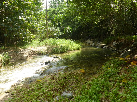 Selling your property in Babinda