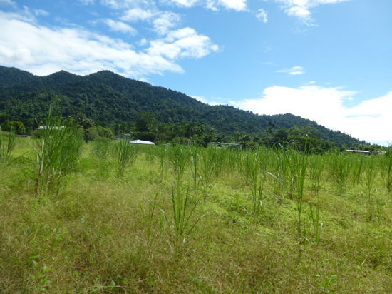 Open for inspection in Babinda