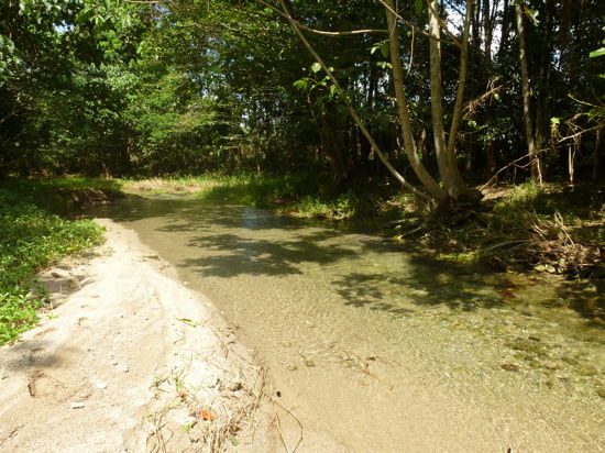 Babinda Properties For Sale