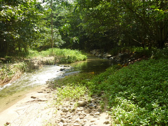 Real Estate in Babinda