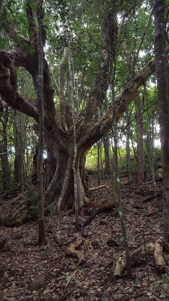 Selling your property in Goldsborough