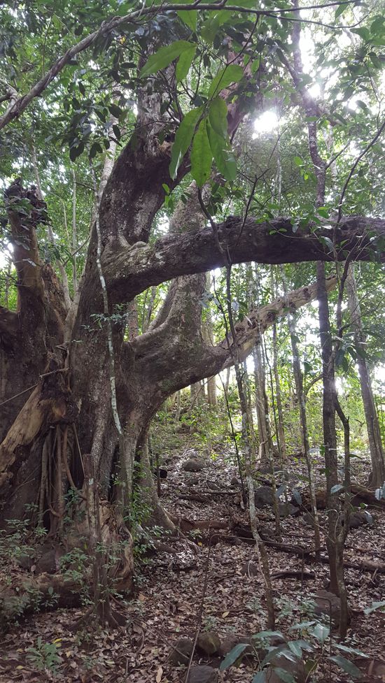 Real Estate in Goldsborough