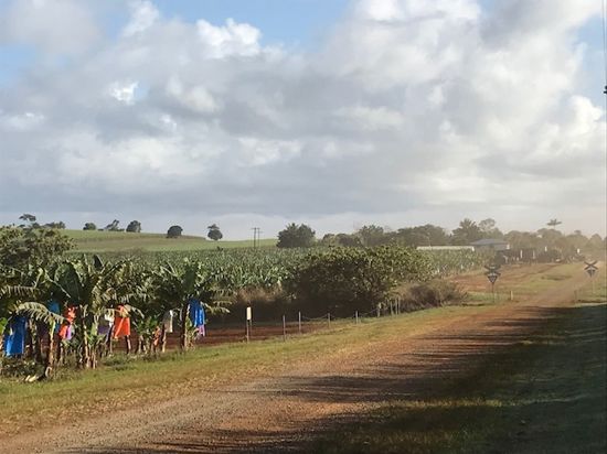 Open for inspection in Eubenangee