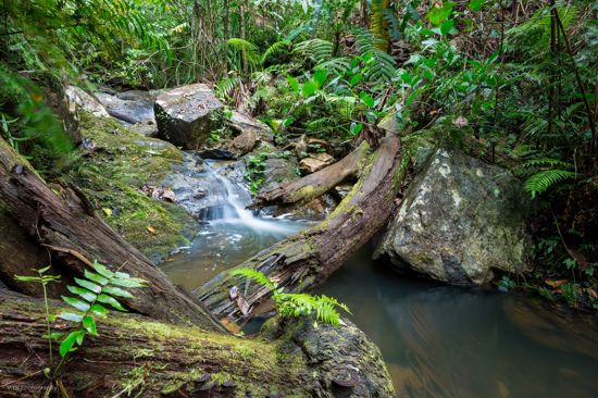 Real Estate in Innisfail