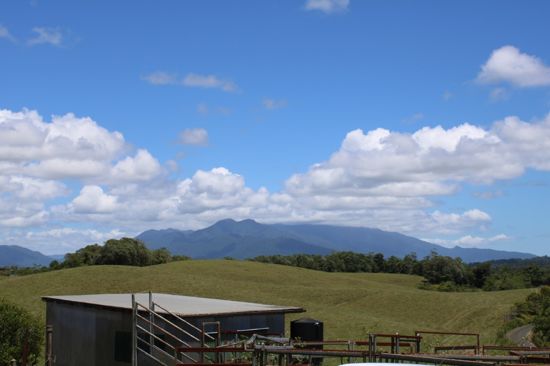 Property For Sale in Eubenangee