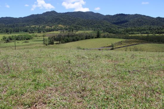 Real Estate in Eubenangee