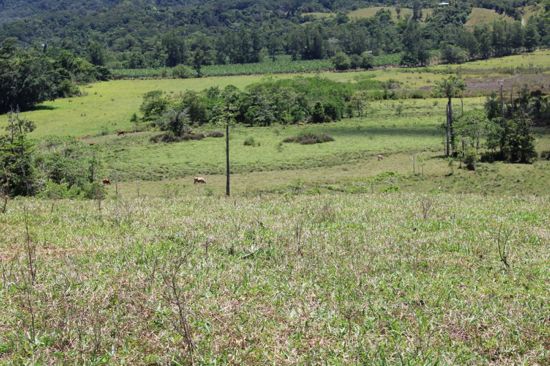 Real Estate in Eubenangee