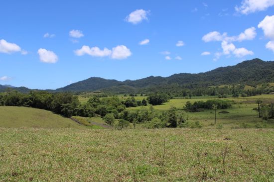 Real Estate in Eubenangee