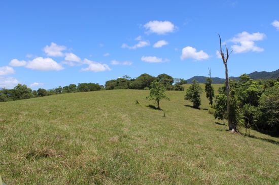 Real Estate in Eubenangee