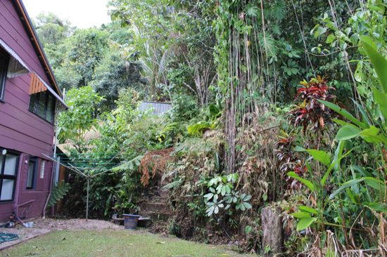 Real Estate in Babinda