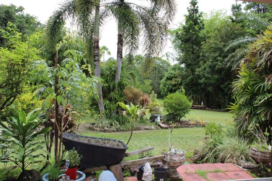 Real Estate in Babinda