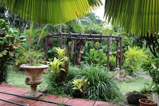 Real Estate in Babinda