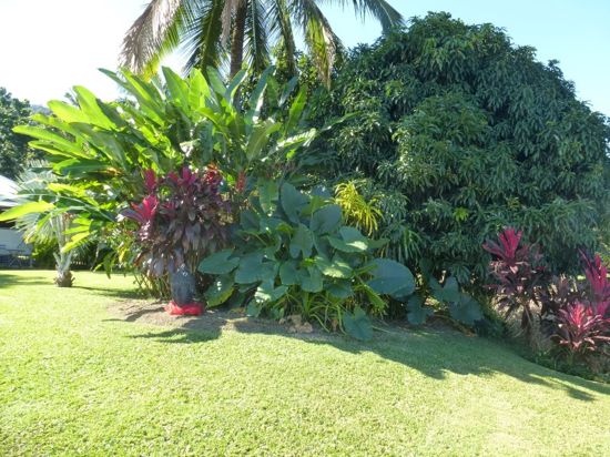 Real Estate in Babinda