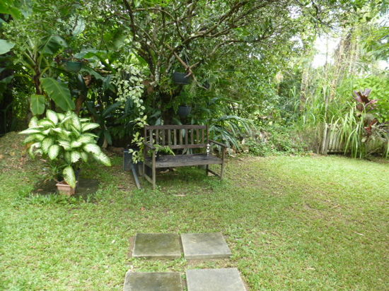 Real Estate in Babinda