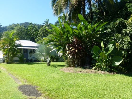 Real Estate in Babinda