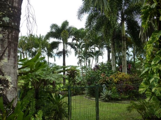 Babinda real estate For Sale