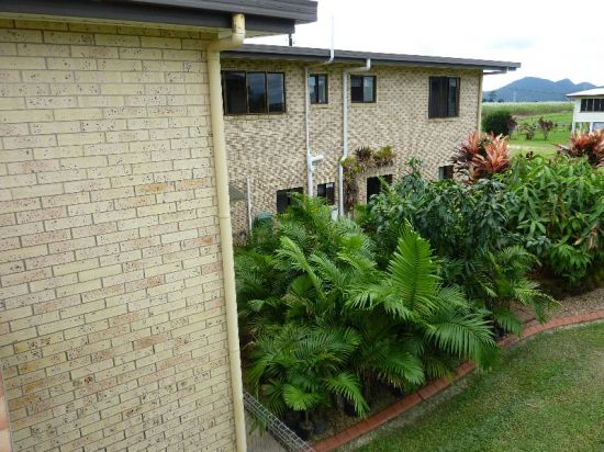 Real Estate in Babinda