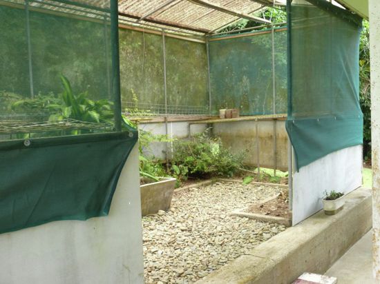 Real Estate in Babinda