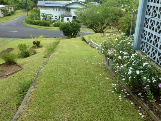 Real Estate in Babinda