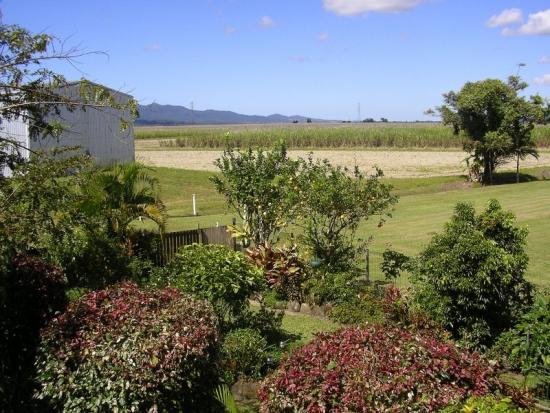 Real Estate in Babinda