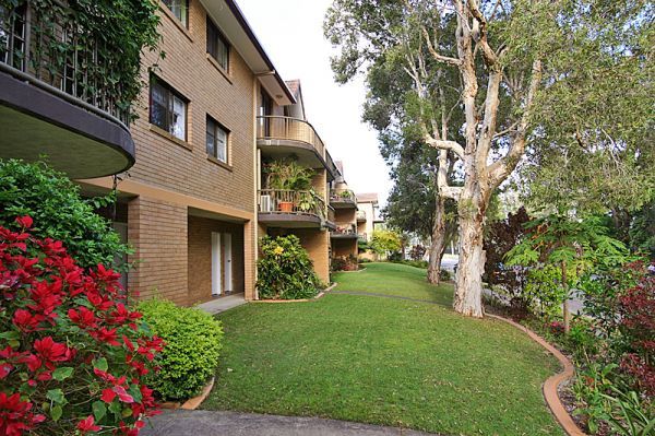 Alex Cornacchione - Seymour Street, Tweed Heads South 