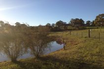 Property in Box Hill - Sold for $1,575,000