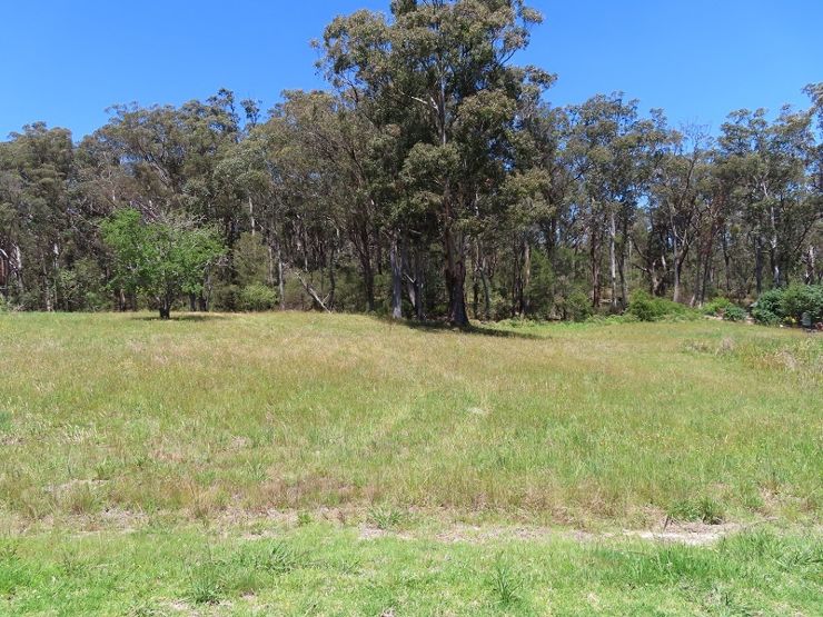 Property in Stanthorpe - $89,000