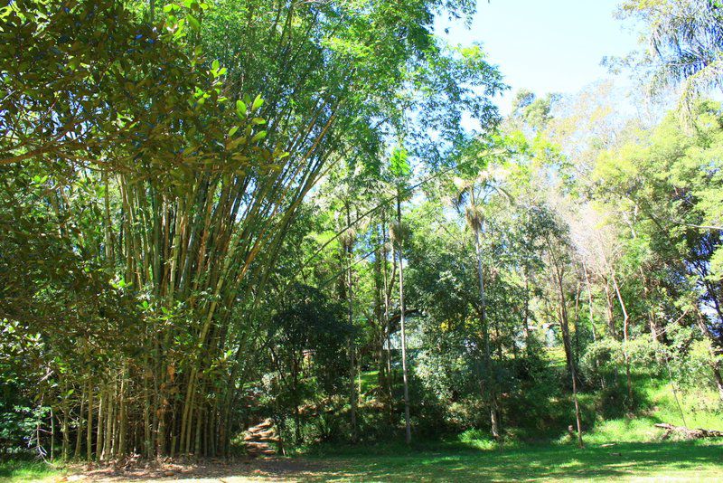 Real Estate in Valla